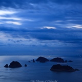 dailyPhoto20